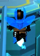 Beetle flight 7237.jpeg (371 KB)