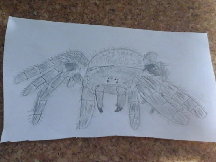 CategoryDiscussion Mods LEGO Message Boards Wiki Fandom