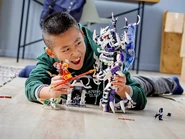 80028Setimage15.jpeg (469 KB)