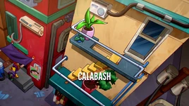 Calabash (Episode)