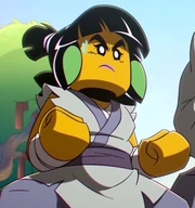 Mei subodhis student robes