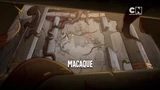 MacaqueFR