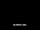 This Imperfect World