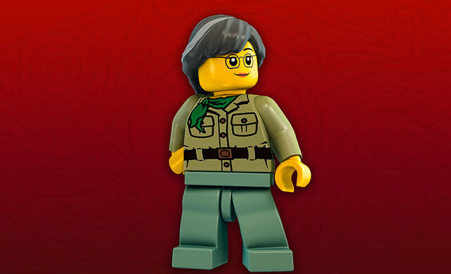 Misako garmadon sale