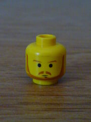 Qui-Gon Head