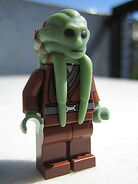 Kit Fisto