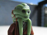 Kit Fisto