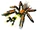 Maelstrom Spider
