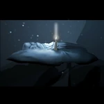 Overview of the planet chunk