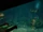 Cave of Black Echoes