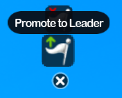 Promote to team Leader Button