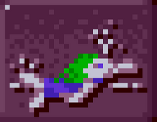 Swimmer.png