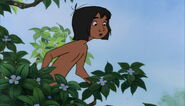 Mowgli obsérve shanti