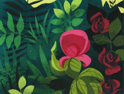 Rose APM CA