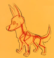 Étude de l'anatomie squelettique par .