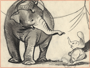 Madame Jumbo CA