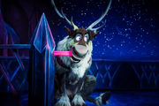 Sven disneyland