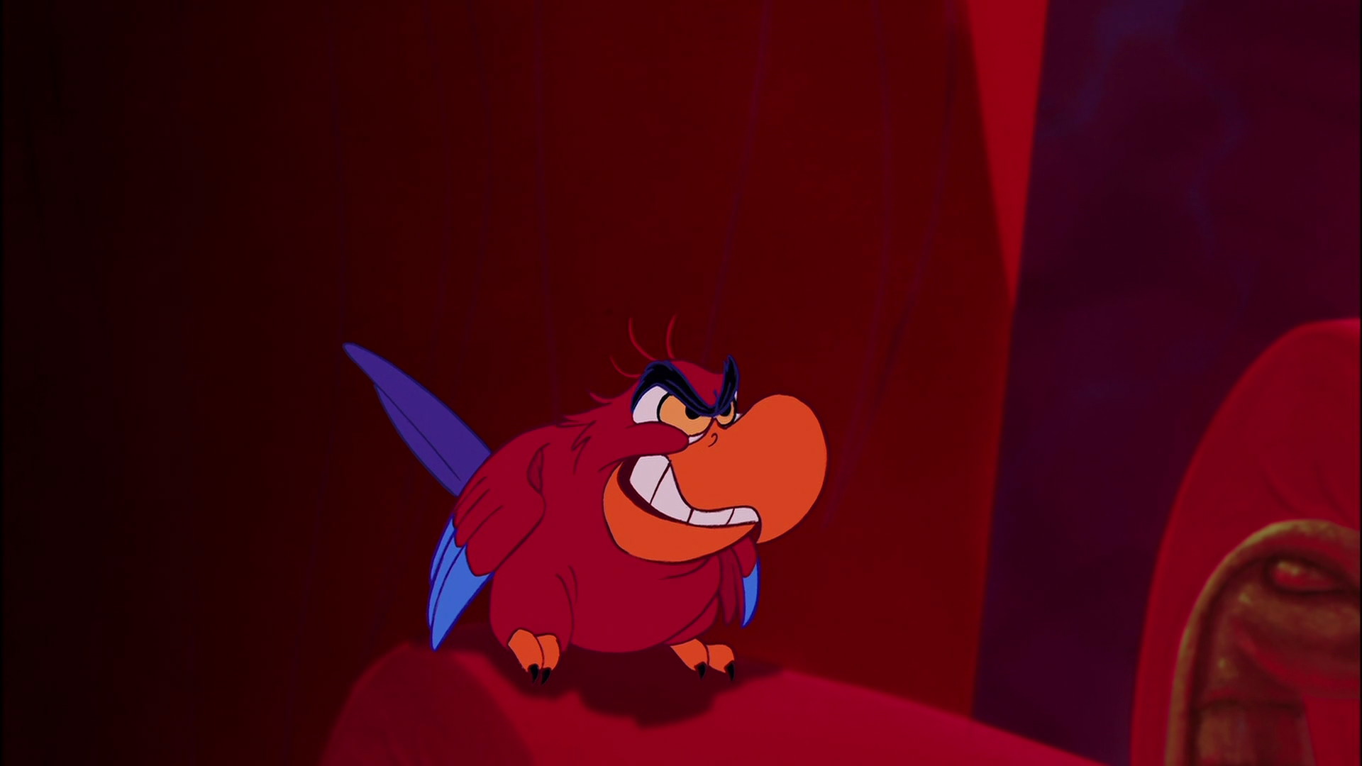 Comment S Appelle Le Singe D Aladdin Iago | Disney Wiki | Fandom