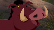 Pumbaa RL2