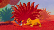 Zazu LRL2