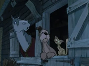 Tibbs Colonel & Capitaine