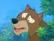 Akela Cub