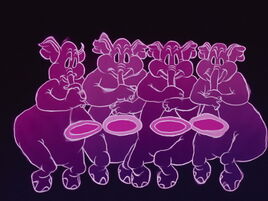 Elephants roses