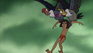 Mowgli sauver par deux vautours