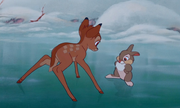 Panpan et Bambi sur glace