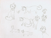Duchesse animation