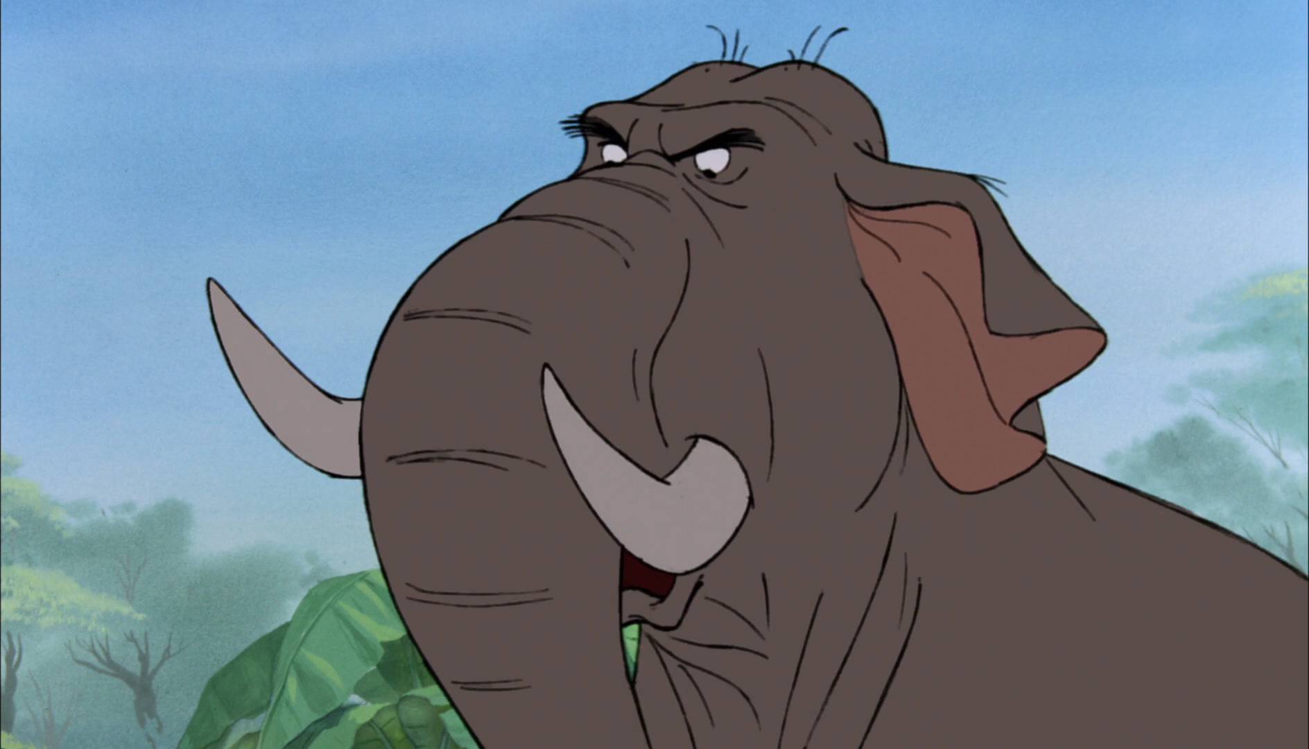 Colonel Hathi Disney Wiki Fandom