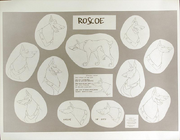 Roscoe animation