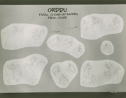 Grièche animation