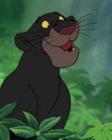 Bagheera Disney Wiki Fandom