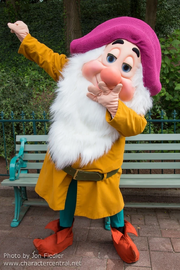 Dormeur Disneyland