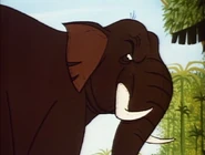 Goliath.jpg (52 kio)