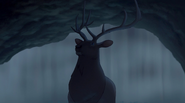 Wapiti