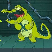 Cranky l'alligator, celui qui mange tout.