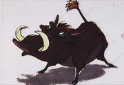 Pumbaa CA