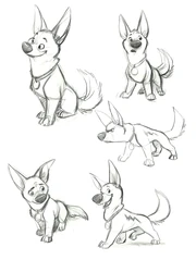 Feuille modèle de .