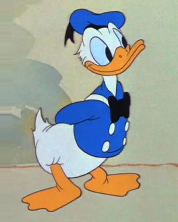 Donald Duck Disney Wiki Fandom