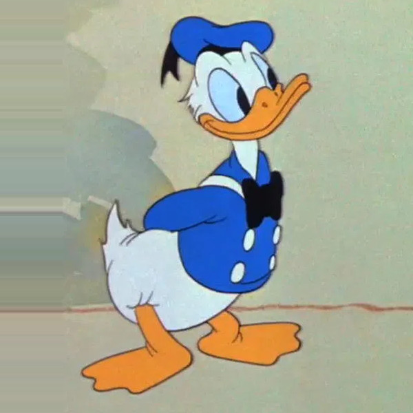 Donald Duck Disney Wiki Fandom