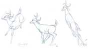 Bambi animation (5)