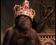 Kinglouie1994.jpg