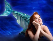 Ariel Musical