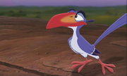 Zazu LRLII