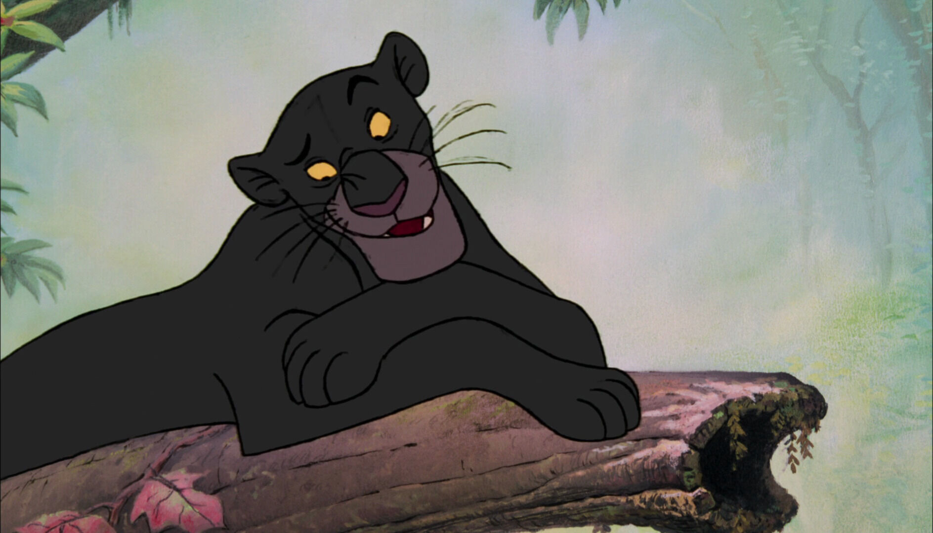 Bagheera Disney Wiki Fandom