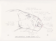 Aladar Animation