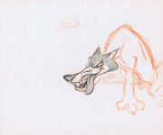 Loup animation