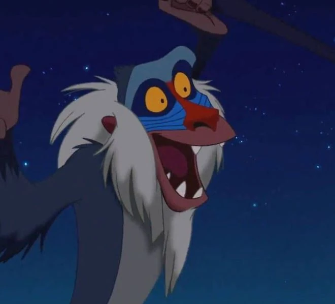 Rafiki Disney Wiki Fandom